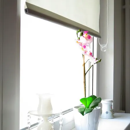 Troyl Apartament